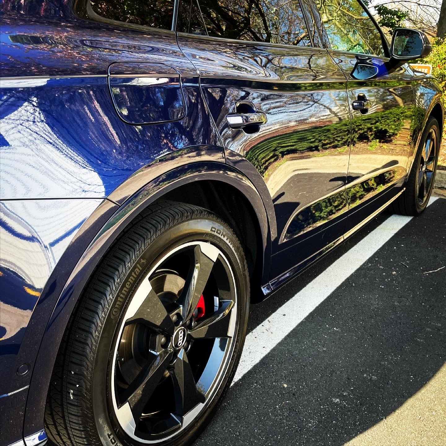 Ceramic Coating — Blue Audi