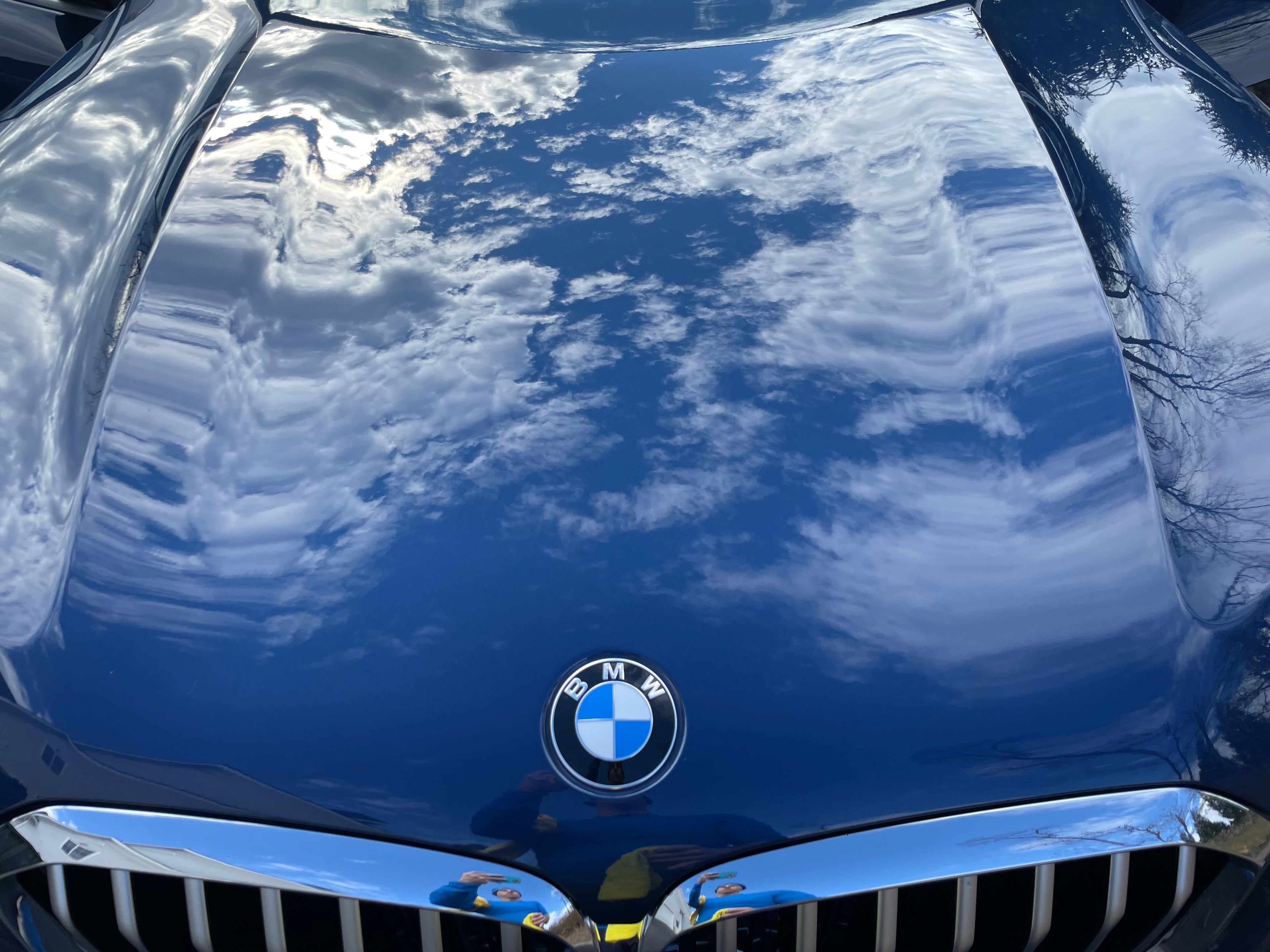 Full Detail — BMW Hood
