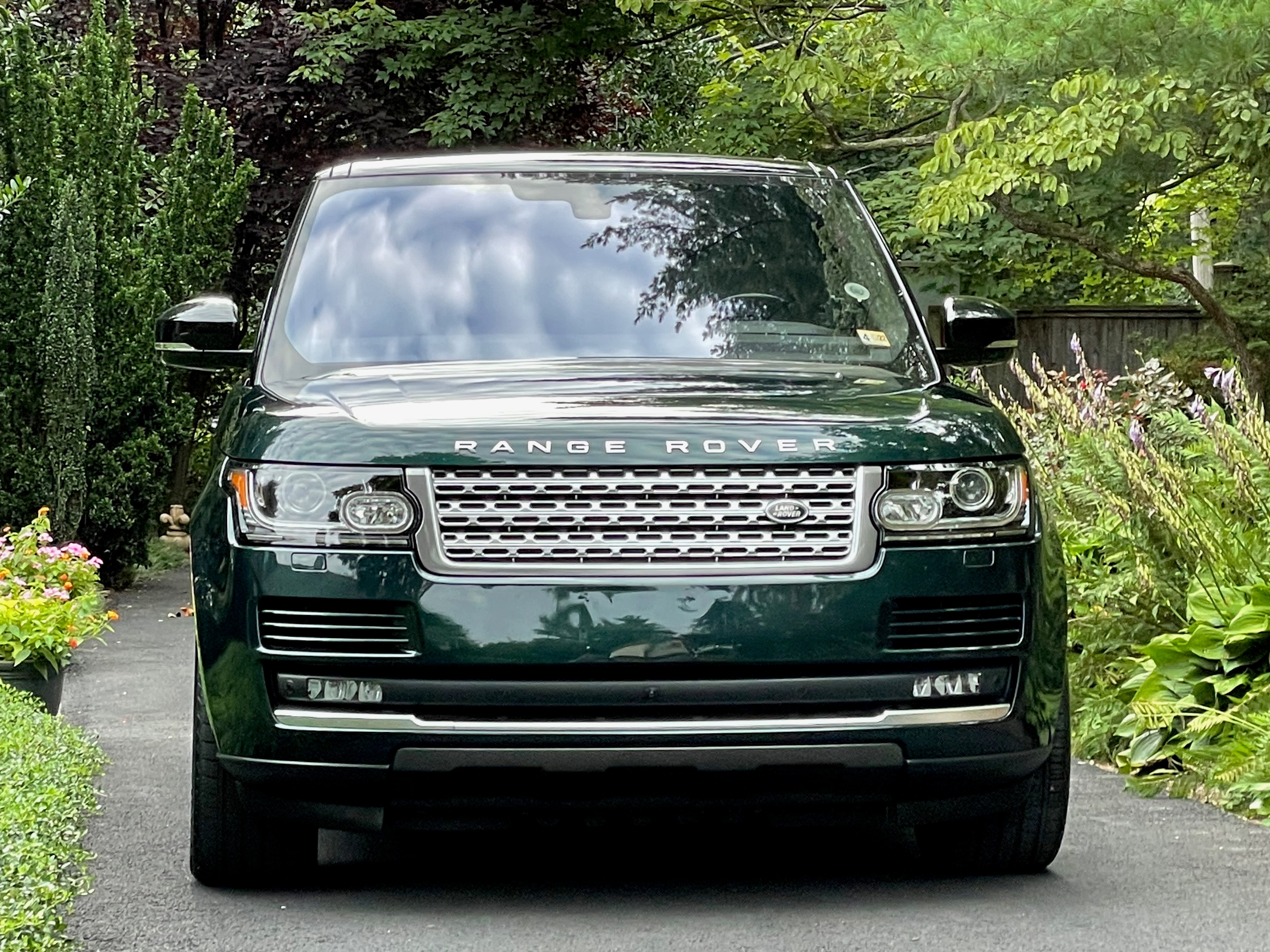 Paint Correction — Range Rover